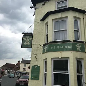 Hotel The Feathers